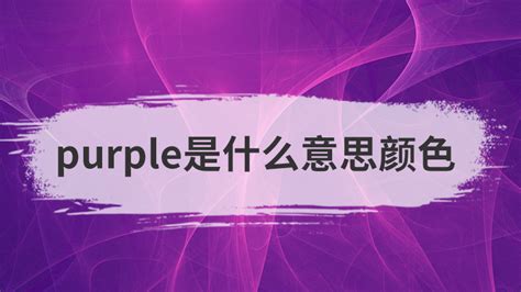 purple意思